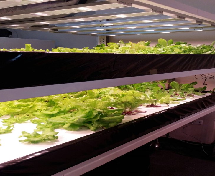 南應大智慧農場