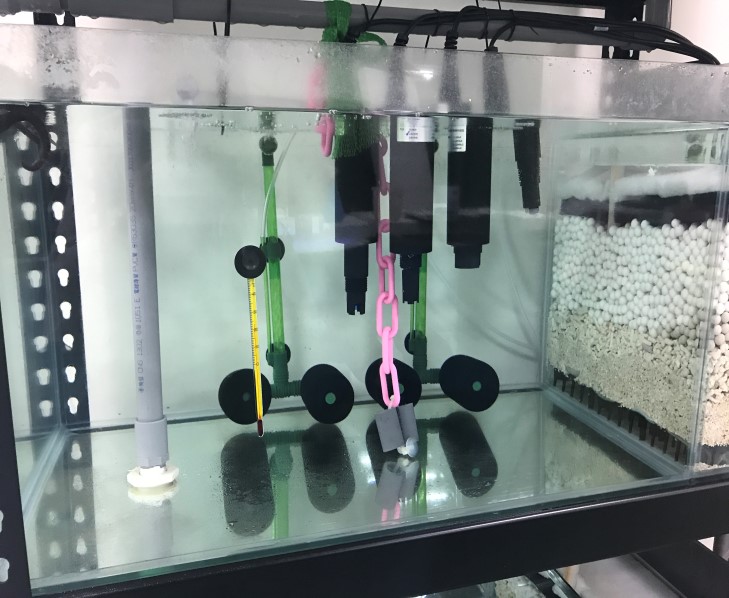 台灣福蝦實業有限公司