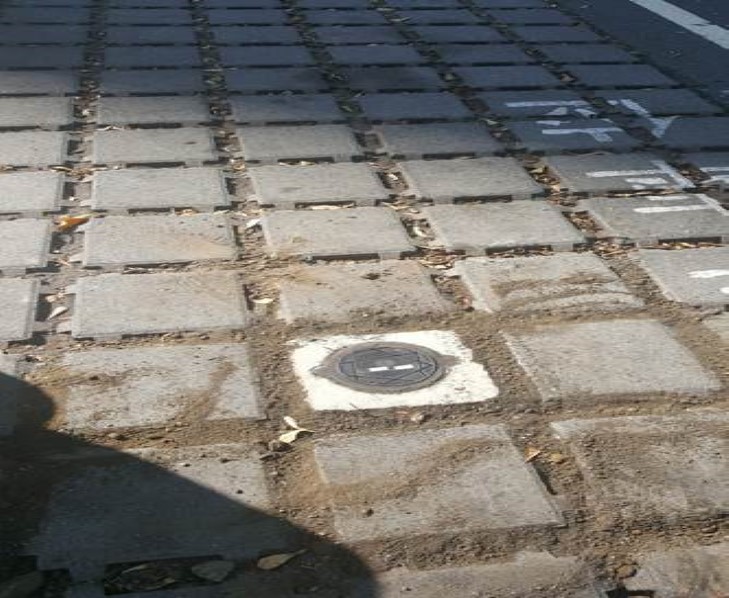 政府路邊停車格